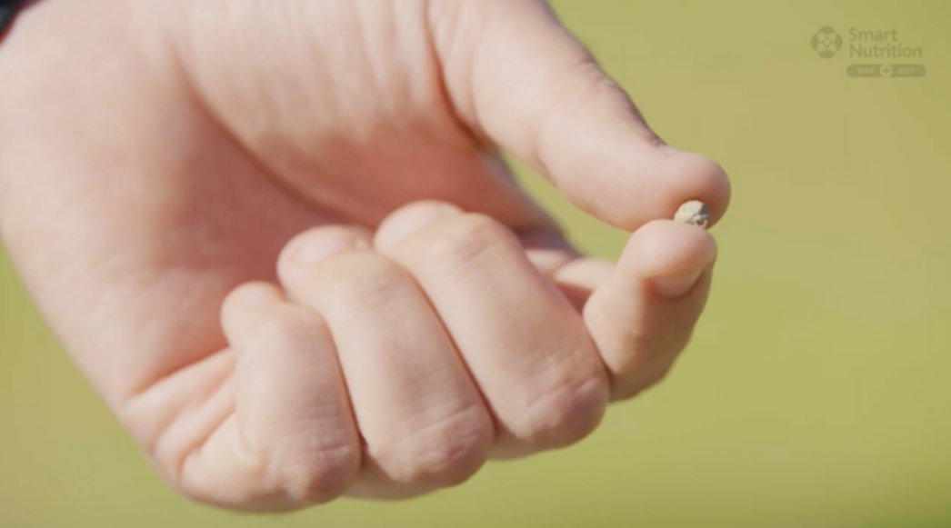 A hand holding a fertilizer granule.